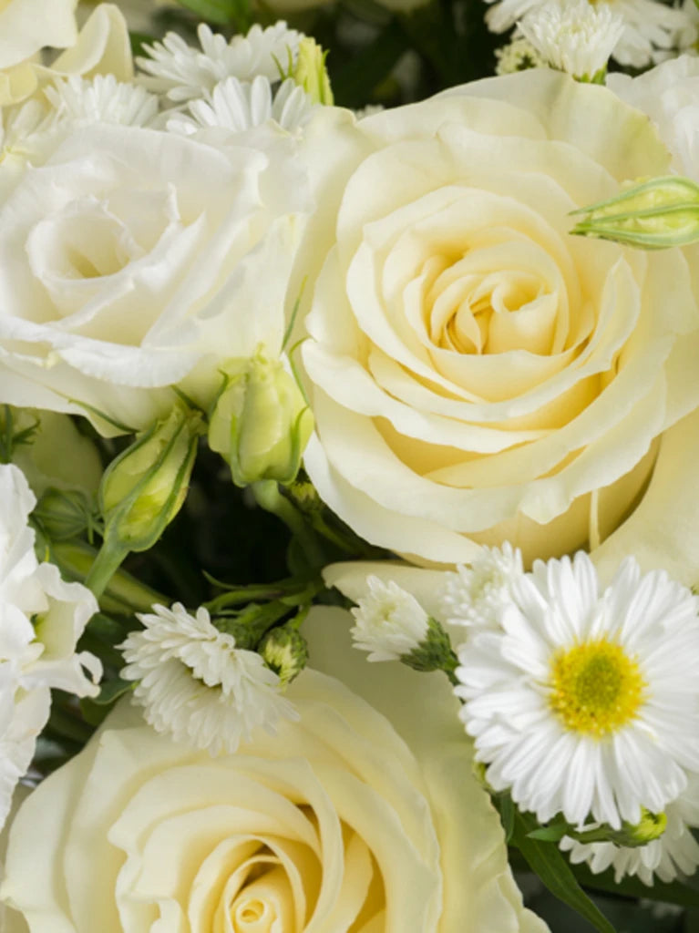 Designer's Choice: Classic White