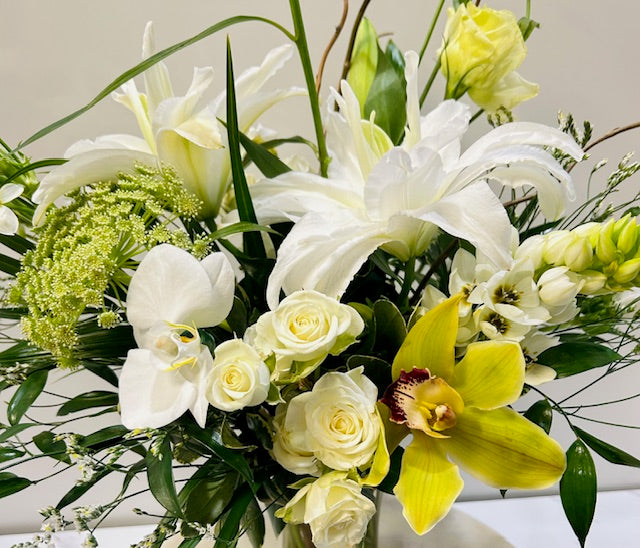 White Garden Blooms
